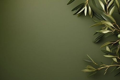 Olive green color wallpaper