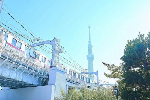 付き合って1ヶ月 デート 東京 ⑤浅草・スカイツリー周辺エリア