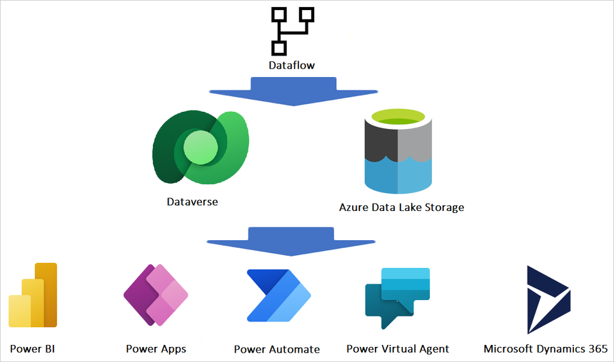 Financial Fields Automation