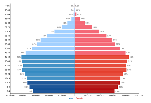 Brazili_population_pyramid_2026.png