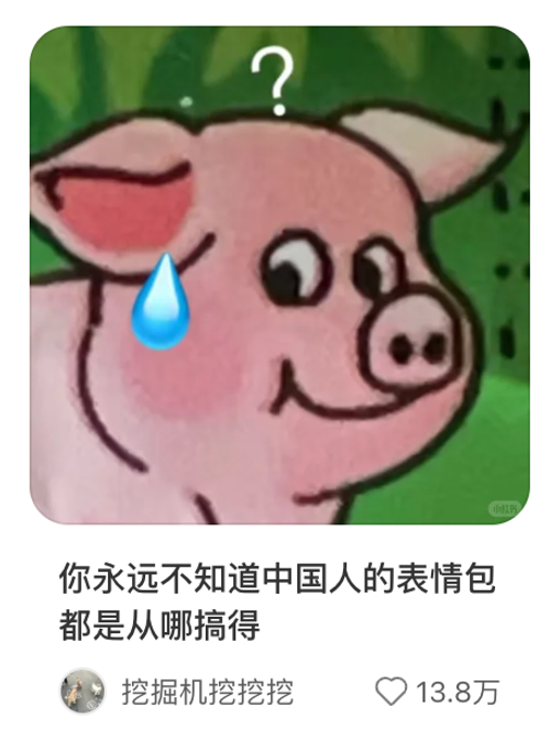 图片来源：小红书截图