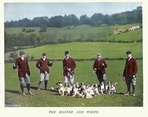 Hunting, Master of the hounds with a pack of young foxhound dogs, Victorian 19th Century, Vintage photograph Hunting, Master of the hounds with a pack of young foxhound dogs, Victorian 19th Century, Vintage photograph fox hunting stock illustrations