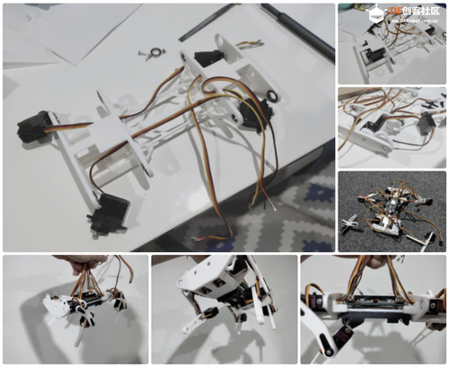 一只基于ESP32的小型四足机器狗图16