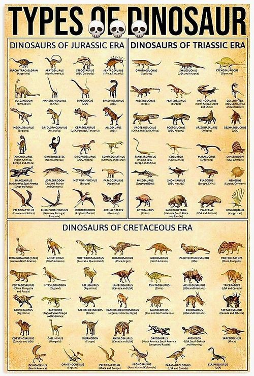 Pin by Oksana Oksi_STAY on штаб in 2025 | Dinosaurs names and pictures, Cartoon profile pictures, All dinosaurs