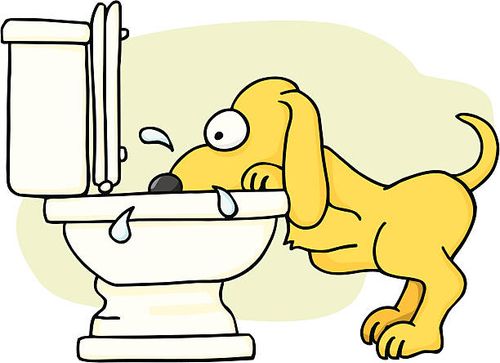 second water bowl - cartoon-bathroom stock illustrations