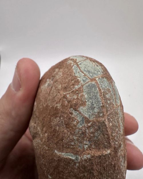 Fossil Raptor Egg - Unprepped Fossil Dinosaur Egg - Guangxi Provence China - Image 4 of 4
