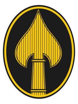 Office of Strategic Services Insignia