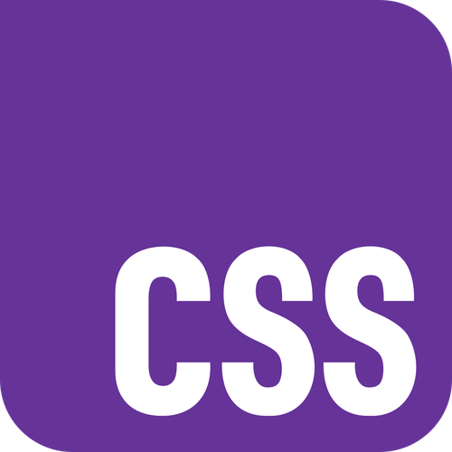 Official CSS Logo