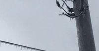 Icy Conditions Leads To Morning Power Outages | Classic Hits 103.9 WLPO | starvedrock.media