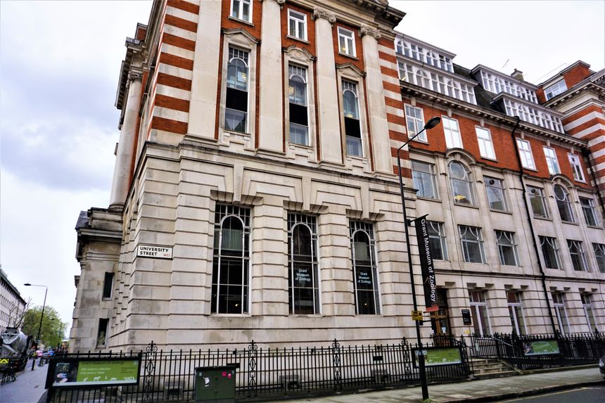 Grant Museum of Zoology