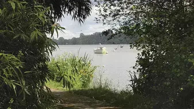 Les bords de l'Erdre