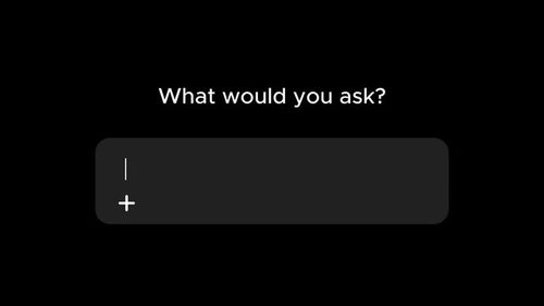 Video animation ask to chat bot unique on alpha channel.