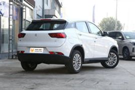 Load image into Gallery viewer, RHD Car SERES Landian E3