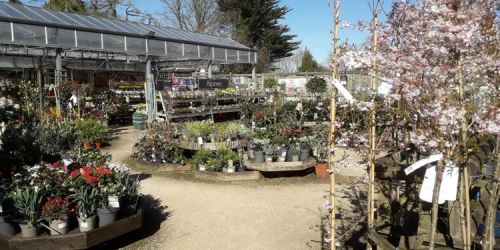 Farnborough Garden Centre