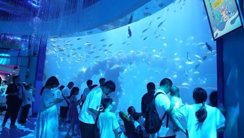 Qingdao Underwater World