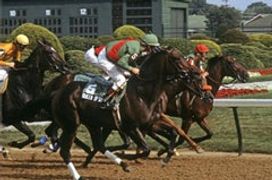 Vintage 'Galloping Horses' 1984 Limited Edition Archival Pigment Print