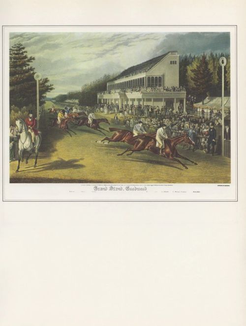 1974 Vintage RACE HORSE "GRAND STAND, GOODWOOD" COLOR Art Print Lithograph - Image 1 of 1