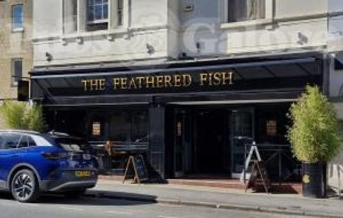 The Feathered Fish