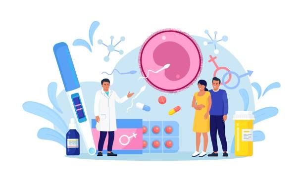 In vitro fertilization with parents, wife standing together with husband. Artificial insemination. Reproductology and reproductive health. Infertility diagnosis and treatment. Pregnancy monitoring In vitro fertilization with parents, wife standing together with husband. Artificial insemination. Reproductology and reproductive health. Infertility diagnosis and treatment. Pregnancy monitoring reproductive health stock illustrations