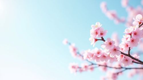 Create your own import image with Canva