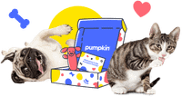 Pumpkin® » Pet Insurance for Dogs & Cats