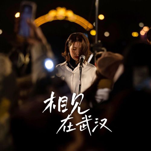 相见在武汉