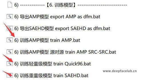 DeepFaceLab3：白嫖模型如何使用？