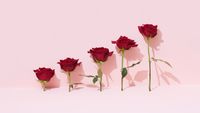Make Your Values Mean Something