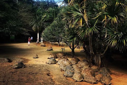 La Vanille Nature Park