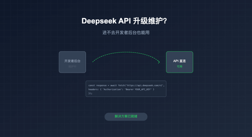 Deepseek API 升级维护？进不去开发者后台怎么办？有办法了……
