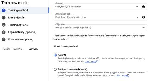图 8.11 – 训练配置/选项