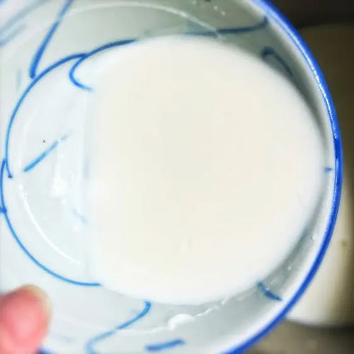 Shunde Double-Skin Milk dessert close-up