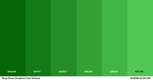 Download PNG image of Deep Green Gradient Color Scheme