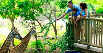 Casela Nature & Leisure Park