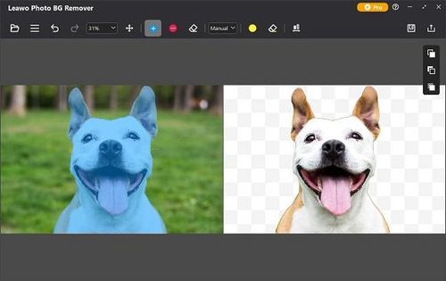 Leawo Photoins BG Remover - 照片背景清除工具[Windows][$49.95→0]