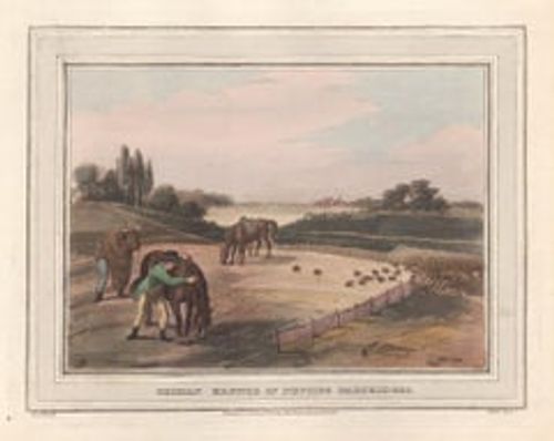 Antique German Manner of Netting Partridges, aquatint engraving hunting print, 1813