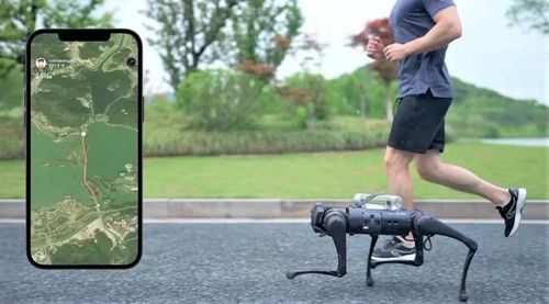 这家 90 后创立的机器狗公司，是怎么跑出来的？