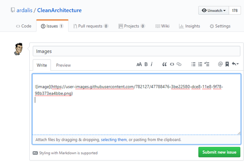Copy image into issue