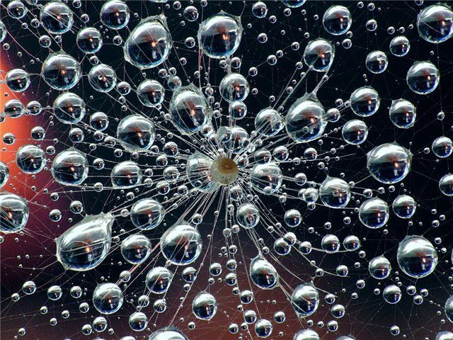 Indra's net of jewels. Imagine a spider web that extends into all dimensions. The web is made up ...