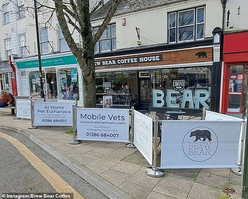 Brew Bear