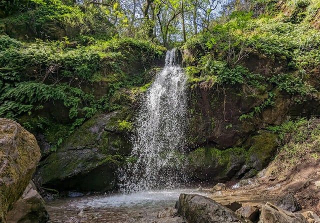 r/norcalhiking - 4/2/23 Fairview Falls aka Buck Gulch Falls, Novato CA