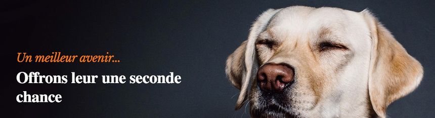 https://imgs.search.brave.com/bA719xxjMB9HZsF4P591AsUYsTFlYq_RHVFJCalAsxU/rs:fit:860:0:0:0/g:ce/aHR0cHM6Ly93d3cu/d2F3YW1hZ2F6aW5l/LmNvbS9waG90by9h/cnQvZ3JhbmRlLzM0/Njc4Nzc3LTMxNjU0/MTcwLmpwZz92PTE1/NjAyNTkzMjE