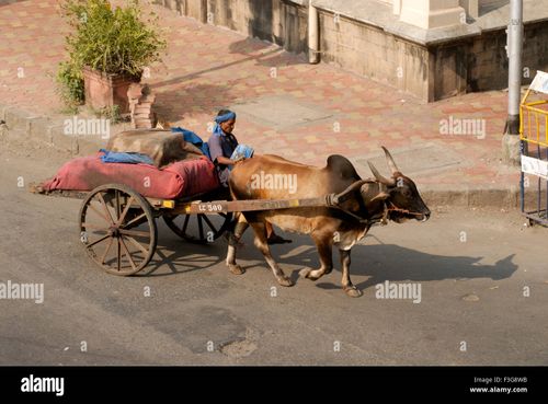 Aerial view of a bullock cart on road ; Bombay now Mumbai ; Maharashtra ; India - Stock Image