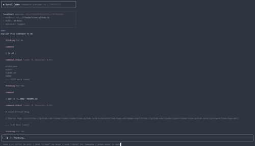 OpenAI Codex CLI terminal screenshot