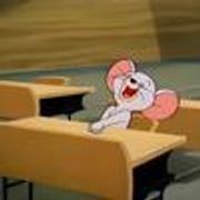 我要成为TC糕手