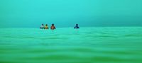 Discover and register for surf contests, camps and more... Surf Signup