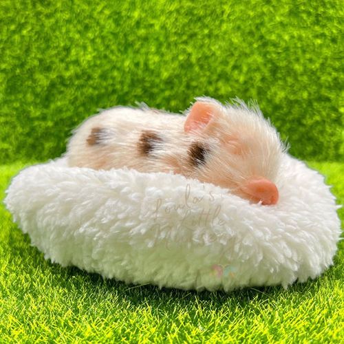 Exclusive Sleeping Chocolate Buttons Piglet - Loula’s Little Nursery