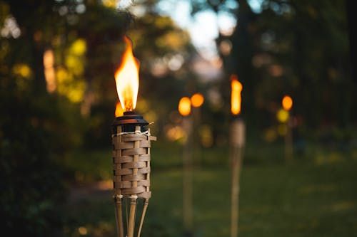 Free Multiple tiki torches illuminate a garden path, creating a warm and inviting atmosphere. Stock Photo