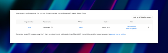 How to Get Your Gemini API Key 4