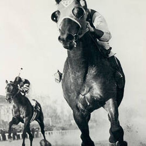 Vintage Horse Racing Photographs